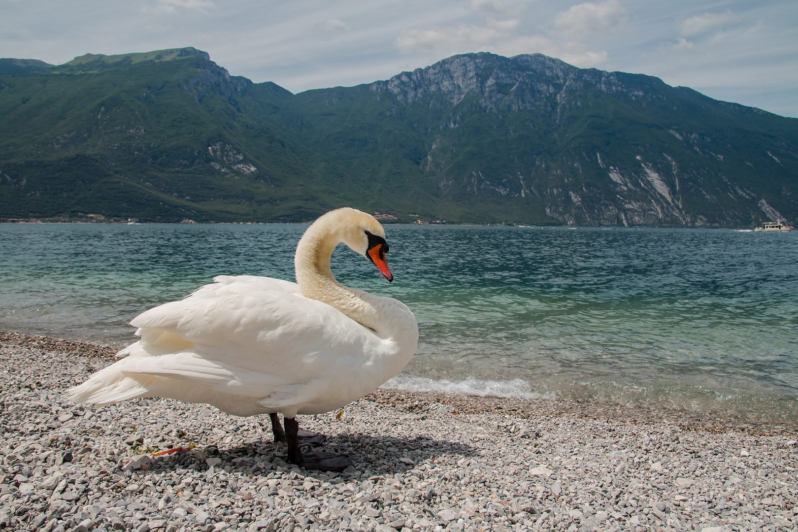 stolzer "Chef" am Gardasee