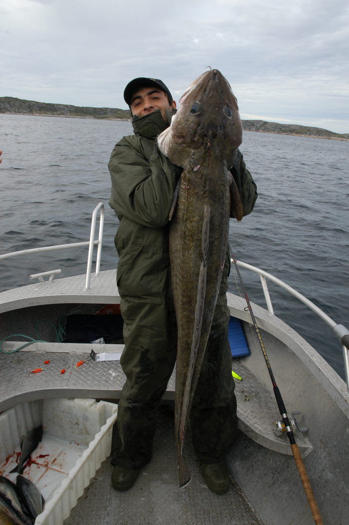 Stolzer Fänger