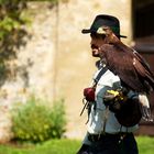 Stolzer Falkner / Schloss Waldreichs