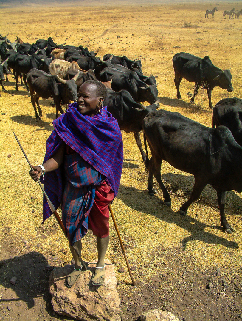 Stolzer Massai (2)