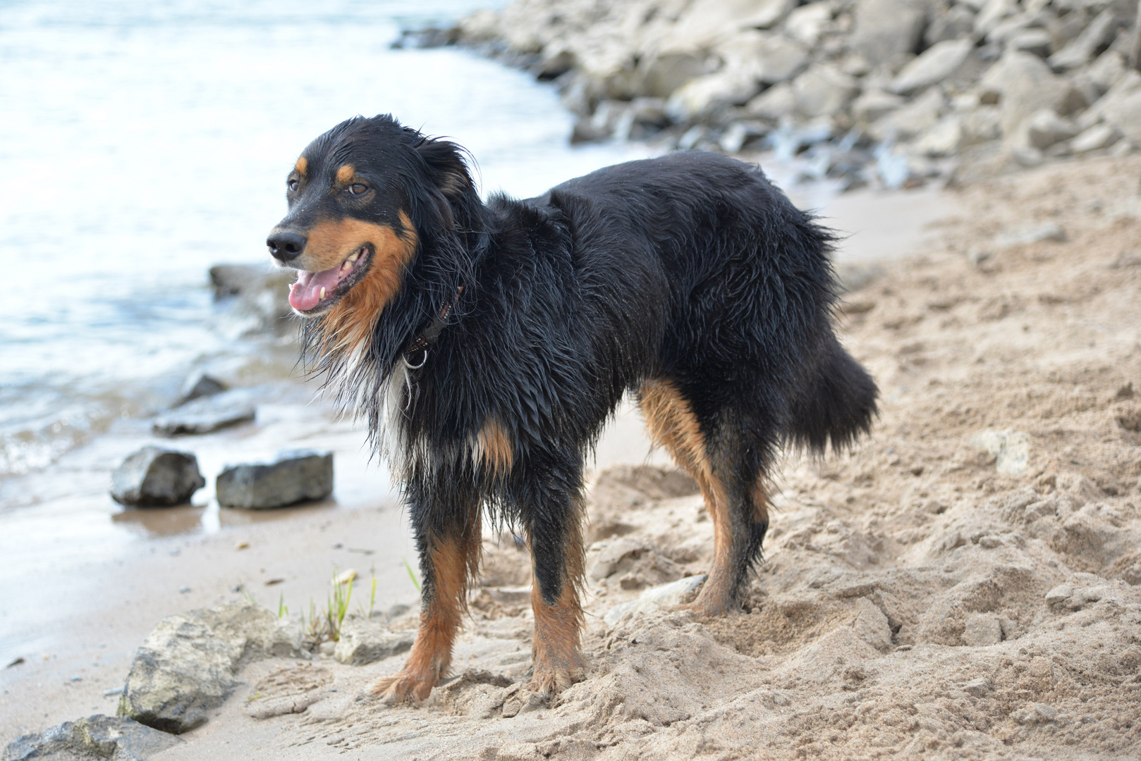 stolzer "Strandbesitzer"