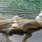 Stone-Art II Valle Verzasca