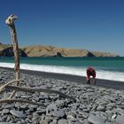 stone beach - banks peninsula, new zealand