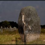 Stone Bird