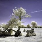 Stone Circle