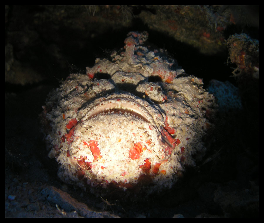 Stone Face