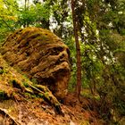 Stone Face