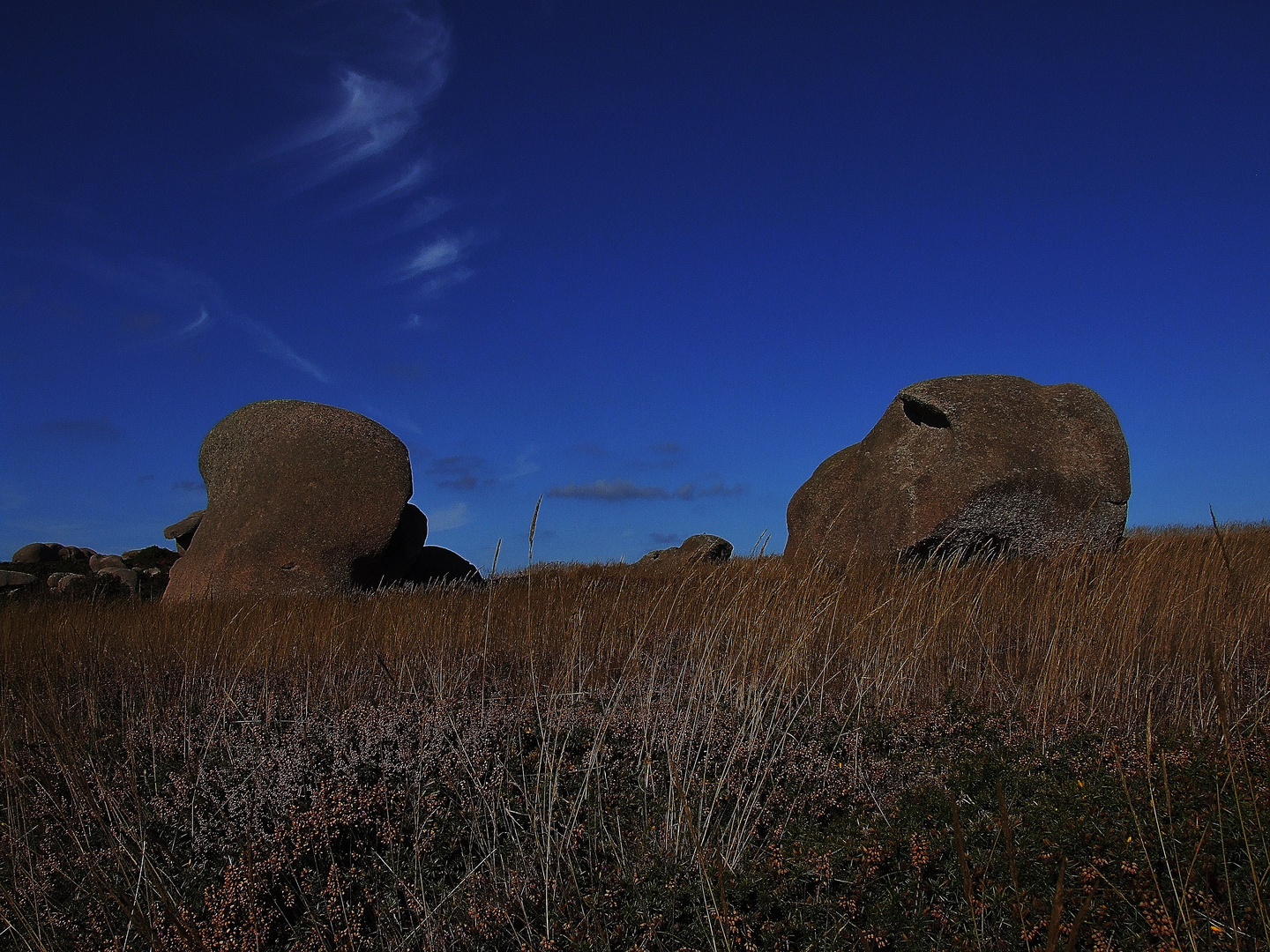 Stone face see you