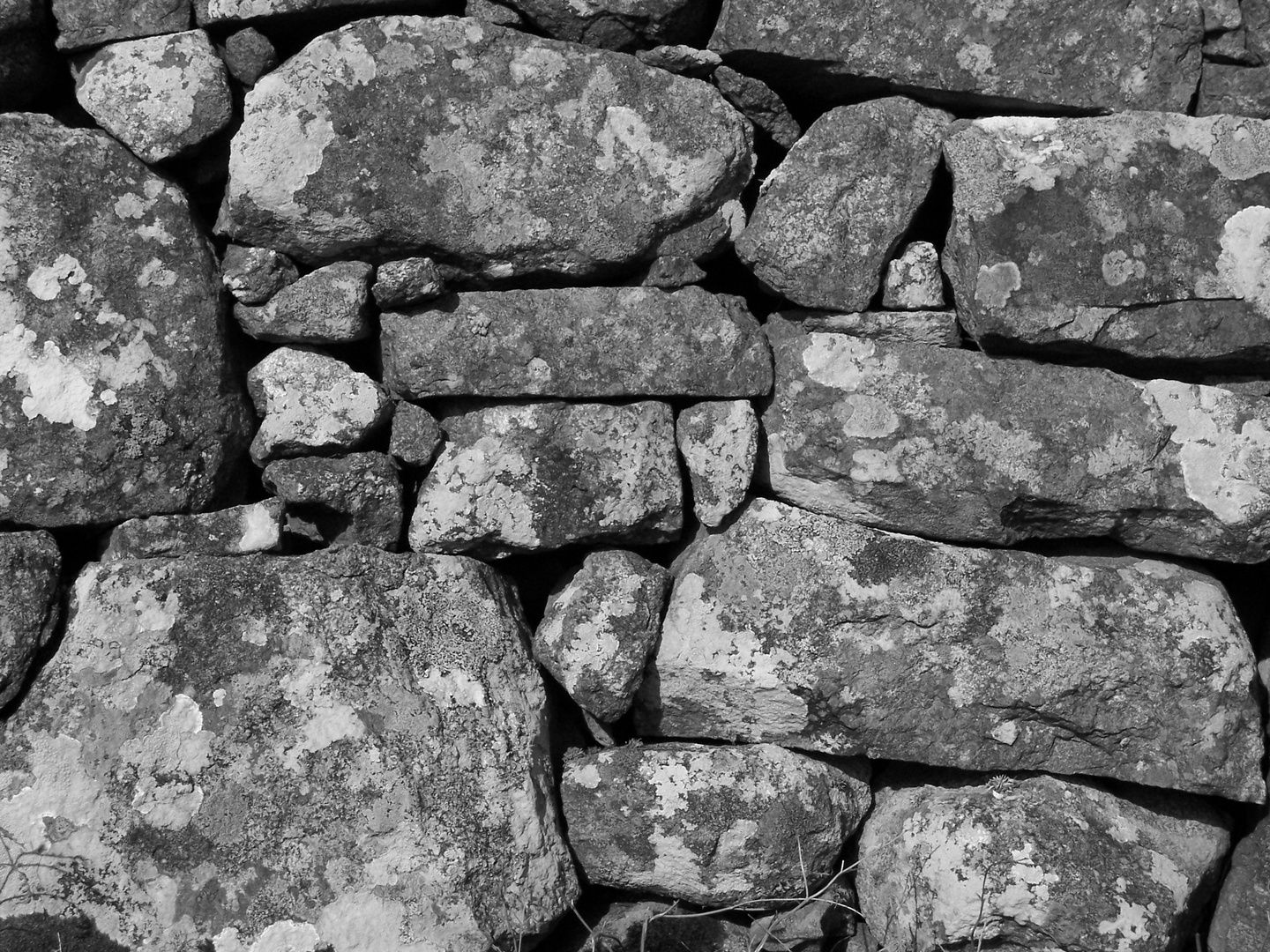 stone fence Quiraing