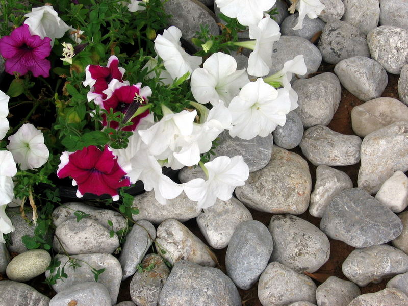 Stone flowers