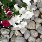 Stone flowers