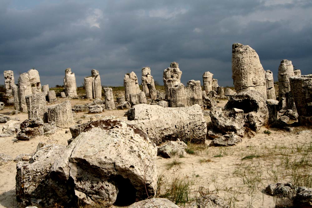 Stone Forest