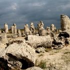 Stone Forest