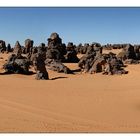 STONE FOREST