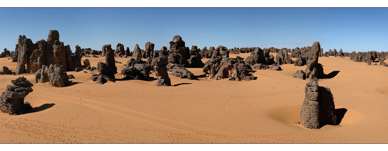 STONE FOREST