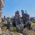 Stone Forest Yoga