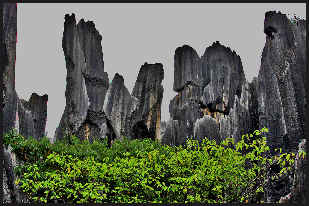 stone forest Yunnan/ China