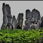 stone forest Yunnan/ China