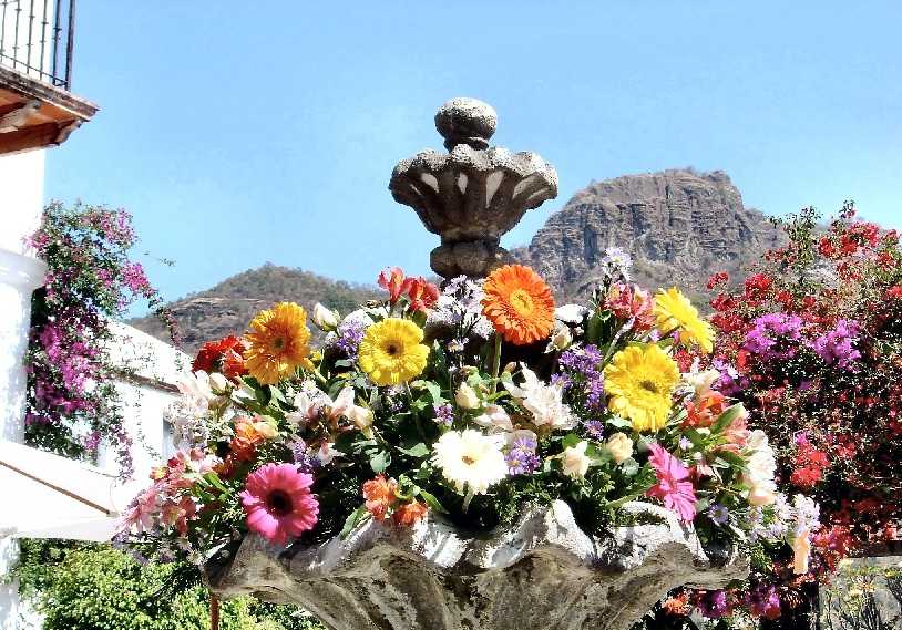 Stone fountain with flowers