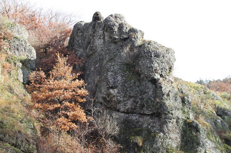 Stone Head