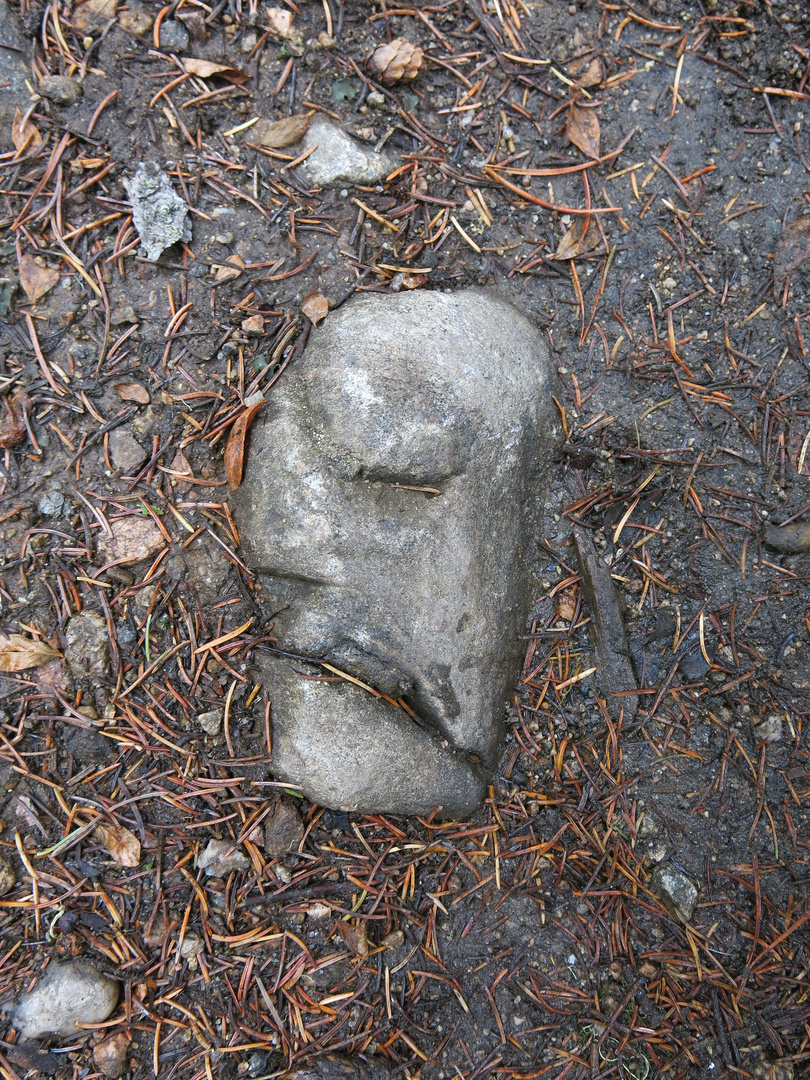 Stone head of a native American...