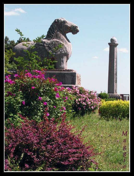 Stone horse in "QianLing" (Xi'an)