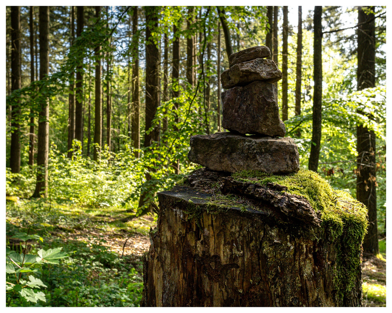 Stone Idol