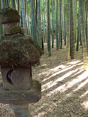 Stone lantern and bamboo