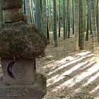 Stone lantern and bamboo