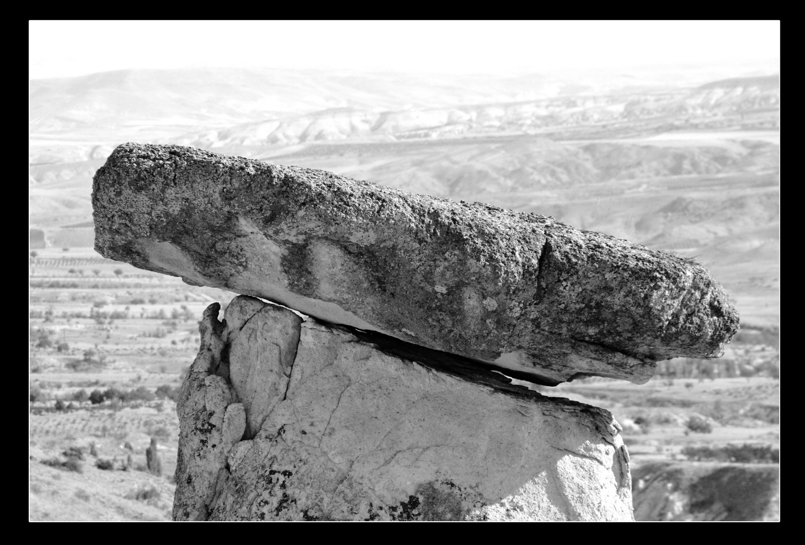 Stone mushroom