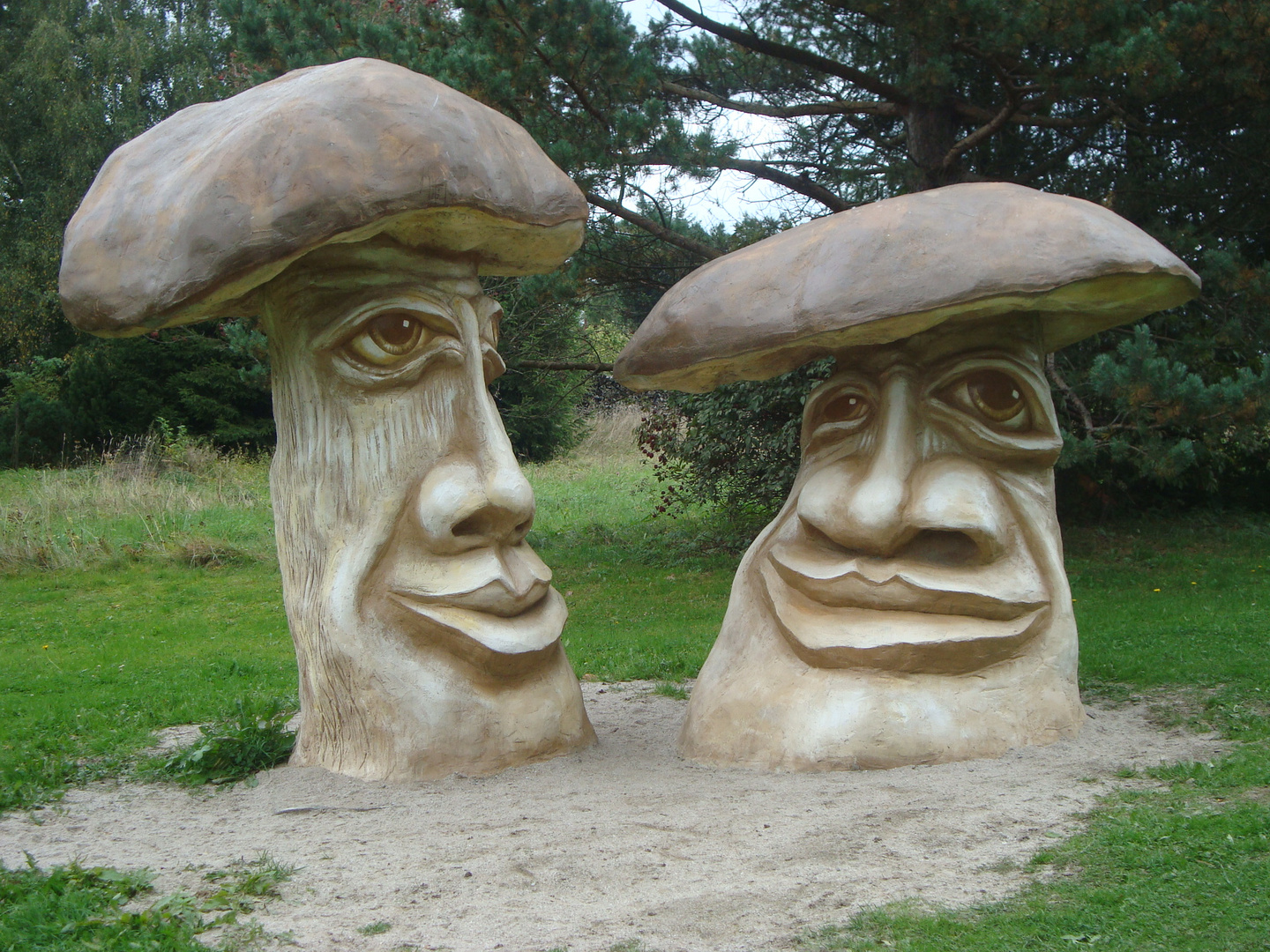 Stone mushrooms