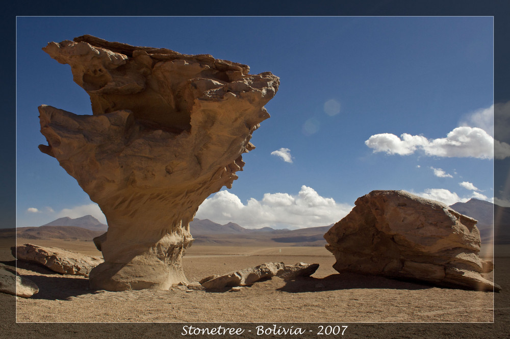 Stone Tree