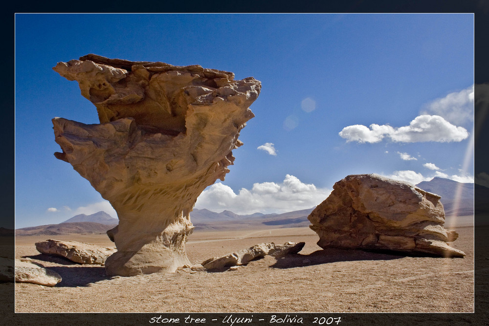 stone tree