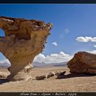 stone tree