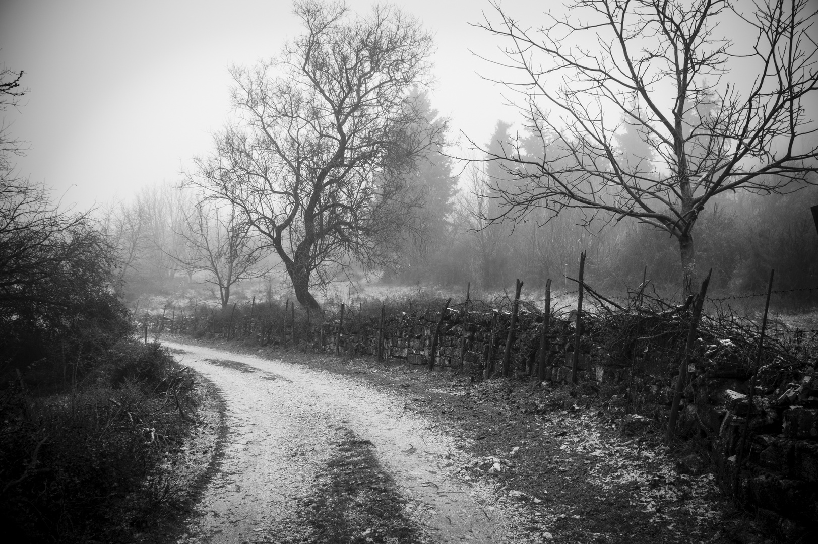 Stone wall in the fog