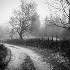 Stone wall in the fog