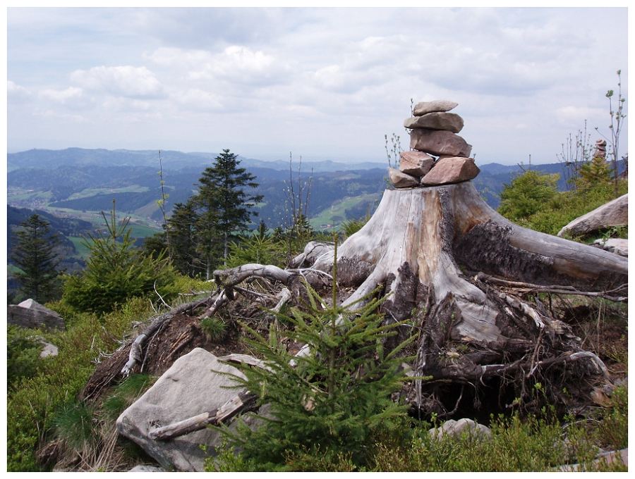 Stonehenge im Schwarzwald