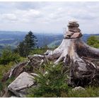 Stonehenge im Schwarzwald