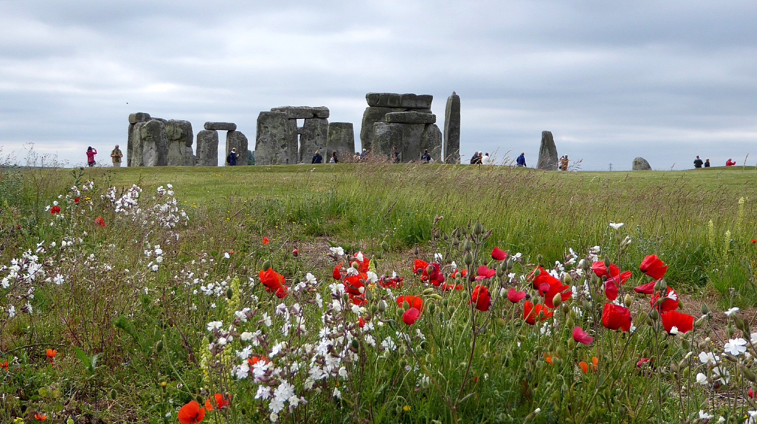 Stonehenge mit Mohn