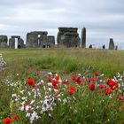 Stonehenge mit Mohn