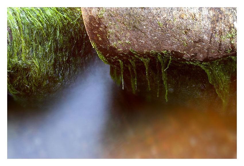 .stones and .fog?