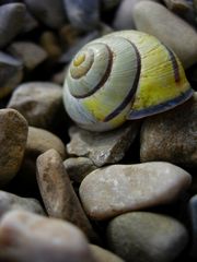 Stones and Lines