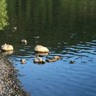 Stones and Water