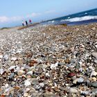 Stones at the Beach