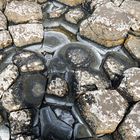 Stones from Giants Causeway