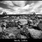 Stones in Howth, Dublin.