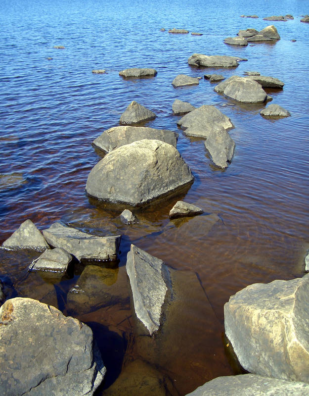 Stones in the lake