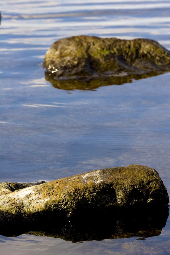 stones in the water