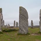 Stones of Callanish