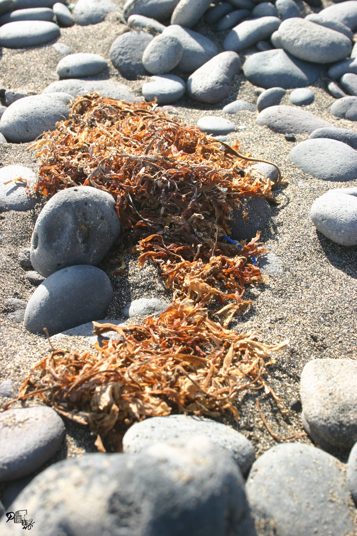 Stones of Lanzarote